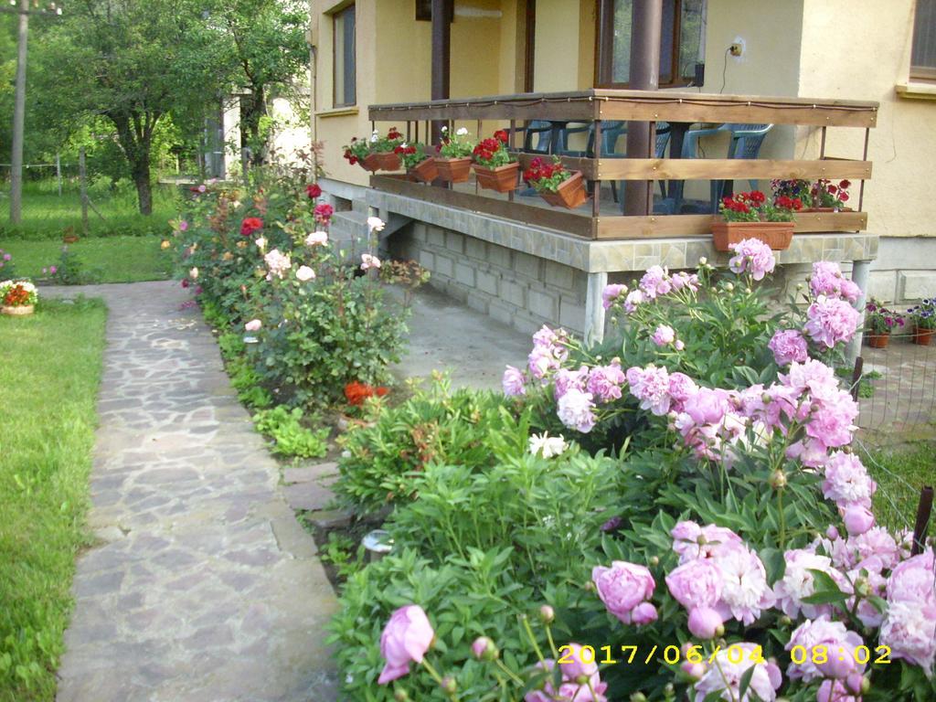 Villa รีบาริตซา ภายนอก รูปภาพ