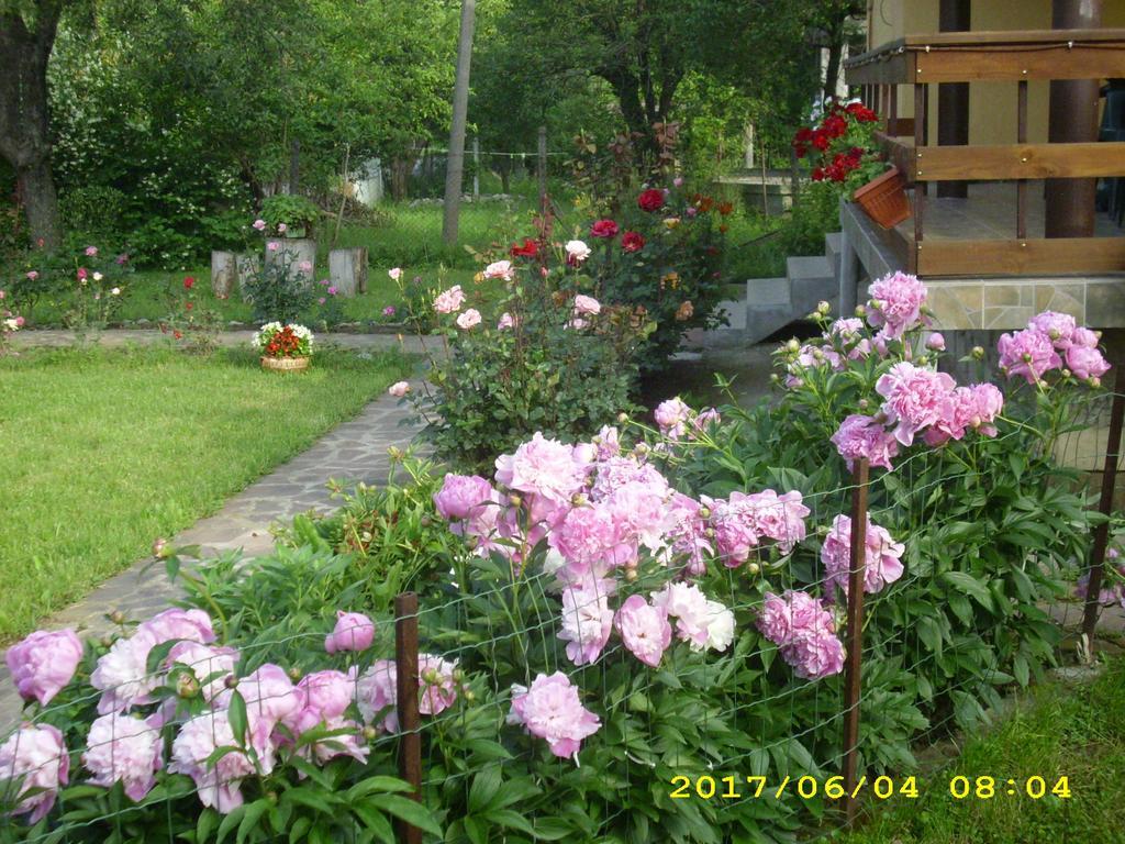 Villa รีบาริตซา ภายนอก รูปภาพ